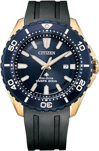 Zegarek Citizen BN0196-01L